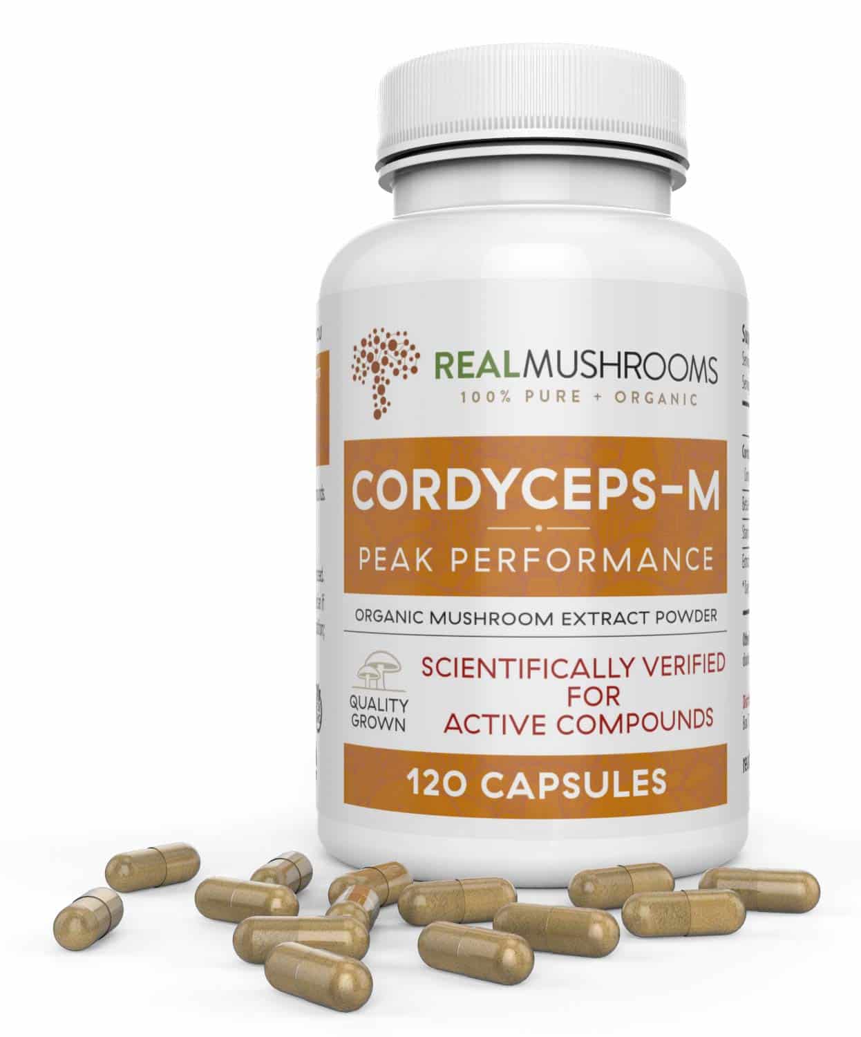Organic Cordyceps Mushroom Capsules