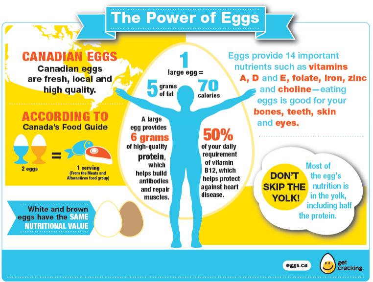 egg nutrition
