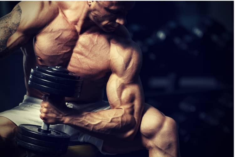 Strong bodybuilder doing exercise with dumbbell Strong bodybuilder doing exercise with dumbbell
