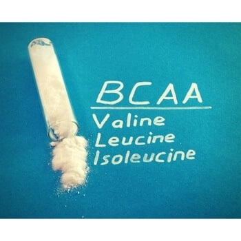bcaa powder
