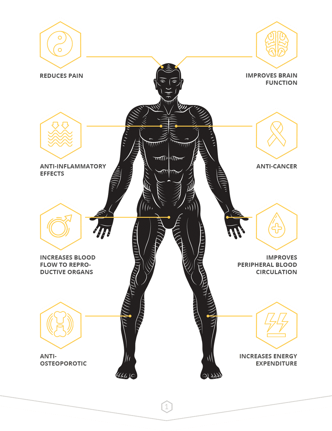 black-ginger-benefits