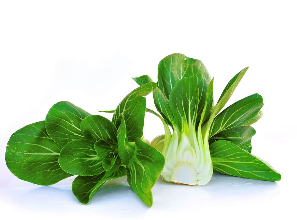 bok choy
