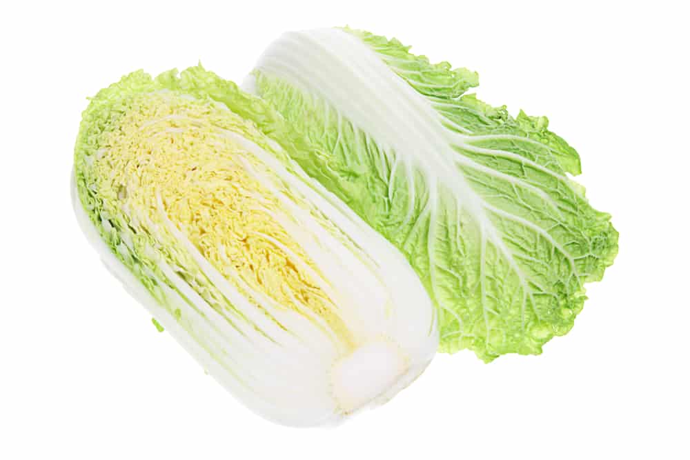 Chinese Cabbage