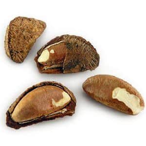 brazil nut