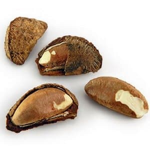brazil nuts brazil nuts