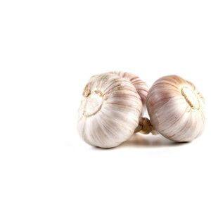 garlic garlic