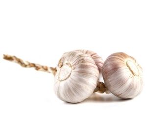 garlic bulb