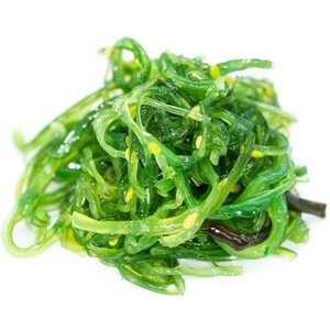 kelp seaweed
