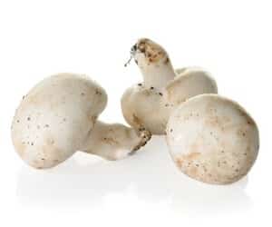 white button mushrooms