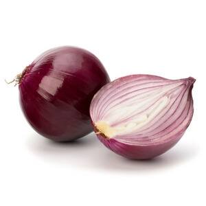 onion onion