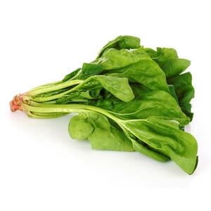spinach spinach