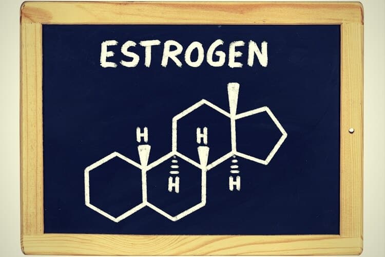 Diagram showing SHBG, albumin, and free testosterone fractions in the bloodstream