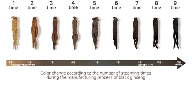 steaming ginseng red to black