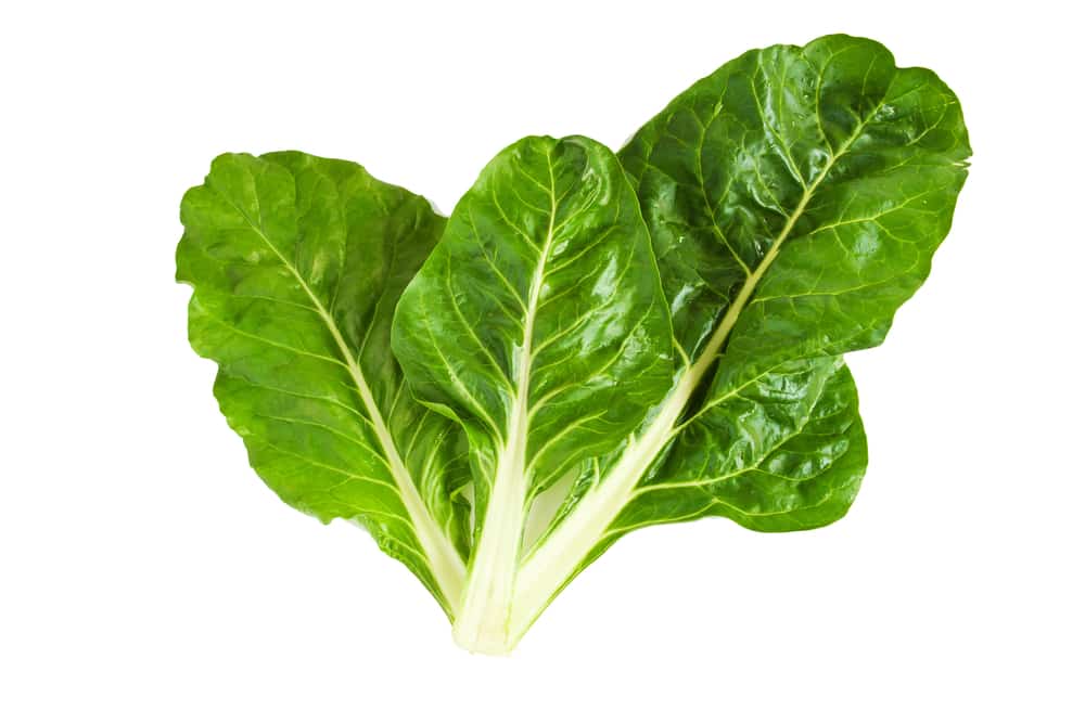 swiss chard