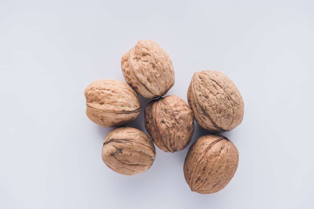 walnuts